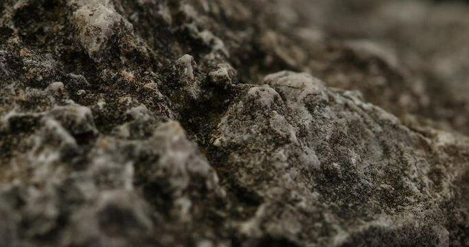 Stone texture close-up. rought mountain surface. macro shot of a rock. natural mineral background. 