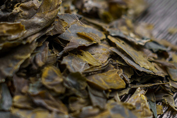 Dried Kombu seaweed close up. Asian dehydrated ingredient