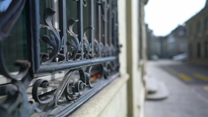 Historical Harmony - Vintage Window Guard with Fractal Ornamentation in Classical Edifice, Patterns...