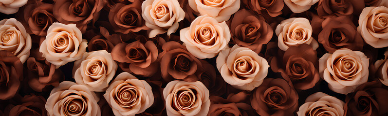 Brown roses background. Beautiful flowers for valentine's day. Colorful background.
