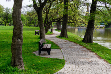 Landscape with alley and many large old trees and green grass on the shoreline of Titan Lake in...