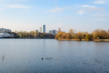 Fototapeta premium Landscape with trees and the lake in Linden Park (Parcul Tei), in Bucharest, Romania, in a sunny autumn day with white clouds and blue sky