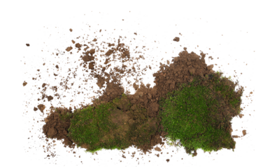 Dirt and green moss isolated on white, top view, clipping path  