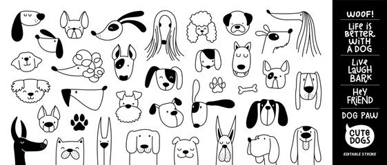 Different type of vector cartoon dog faces for design