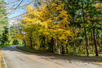 Obraz premium Seahurst Park Fall Ends 7