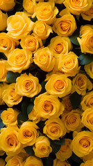 Fototapeta premium Yellow roses background. Beautiful flowers for valentine's day. Colorful background.