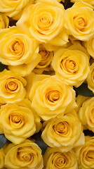 Fototapeta premium Yellow roses background. Beautiful flowers for valentine's day. Colorful background.