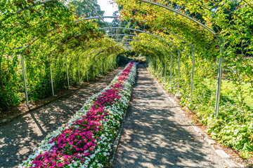 Park Garden Arbor 2