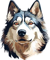 Husky portrait on white background, vector illustration of a dog