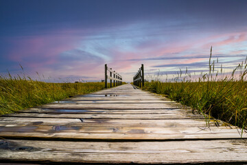 wooden bridge in the salt marshes on the north sea in the blue sunset