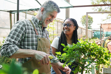 Joyful senior and young African woman sharing a happy moment while gardening in a sunny greenhouse.