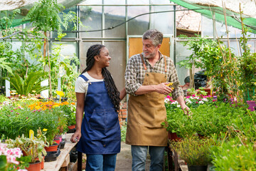 Joyful African female and elder male with pruning shears among vibrant plants in a greenhouse, sharing a moment.