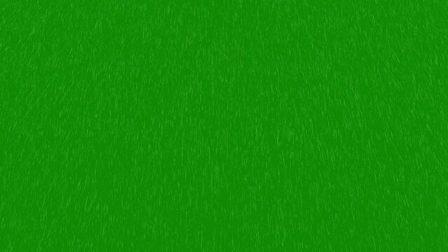 Rain animation on a green screen. Loop animation of Heavy Rain green background