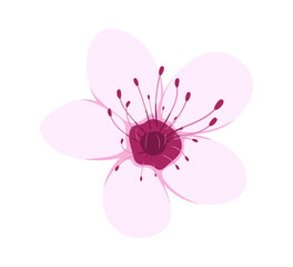 Sakura Flower Element