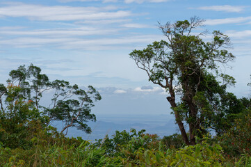 Panoramic view from the Bokor National Park, Cambodia	