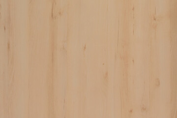 Fototapeta na wymiar Blank empty surface smooth osb wood texture background design light