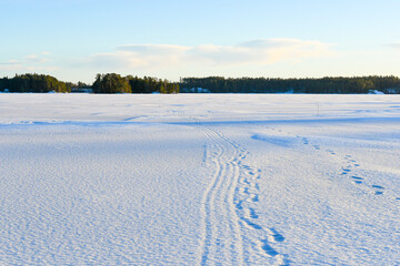 Sunny landscape at frozen lake