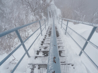 Winter landscape. Snow-covered trees. Trail to the Trzy Korony peak. Pieniny. Poland.