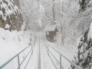 Winter landscape. Snow-covered trees. Trail to the Trzy Korony peak. Pieniny. Poland. © Andrzej Borowiec