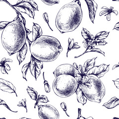 Lemons juicy, ripe with leaves, flower buds on the branches, whole and slices. Graphic botanical illustration hand drawn in blue ink. Seamless pattern EPS vector.