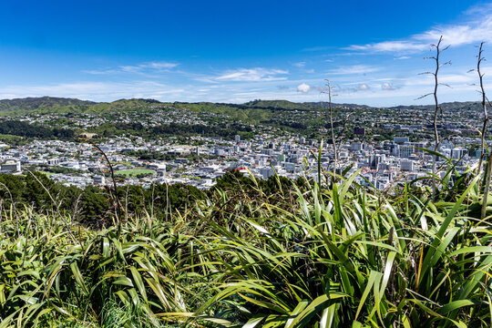 Mt. Victoria in Wellington New Zealand