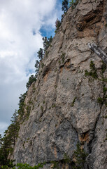 Green trees grow on a steep cliff in the Caucasus mountains.