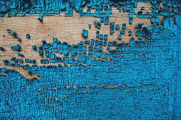 Old blue cracked paint. The texture of the paint with cracks. Dried in the sun and cracked color on the wall of country house. Peeling coating. The texture of the cracks. Grunge texture background.