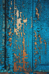 Old blue cracked paint. The texture of the paint with cracks. Dried in the sun and cracked color on the wall of country house. Peeling coating. The texture of the cracks. Grunge texture background.
