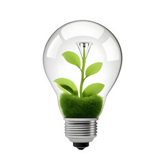 Light Bulb with a Plant Inside Isolated on Transparent Background