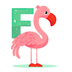 Kids alphabet with pink flamingo. Cute cartoon bird, standing near green letter F on white background. Children abc lettering