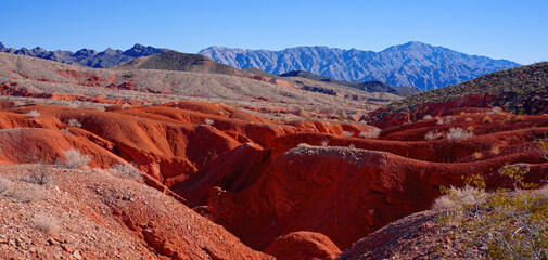 The typical landscape with red rocks and sandstones in the Arizona Desert - travel photography