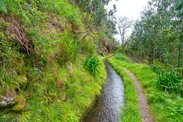 Fototapeta na wymiar dense forest trail through an old irrigation water channel in typical Portuguese operation on the island of Madeira