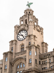 Fototapeta na wymiar Looking up of Architecture design of Clock tower and The liver bird on top of Historic The royal liver building. The royal Liver building on the Pierhead at Liverpool, Space for text, Selective focus.