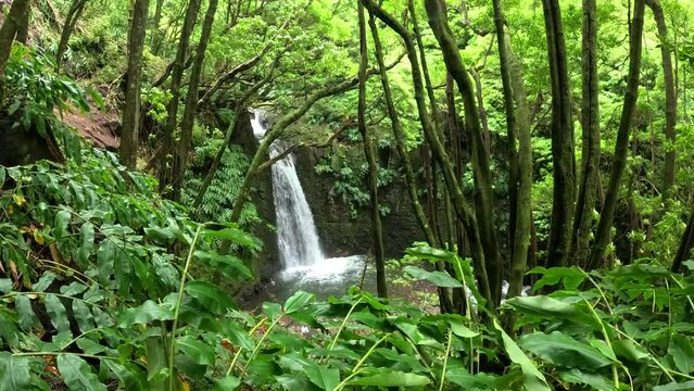 Waterfall 'Cascata do Salto do Prego' in the Island of Sao Miguel, close to Furnas, in Azores, Portugal