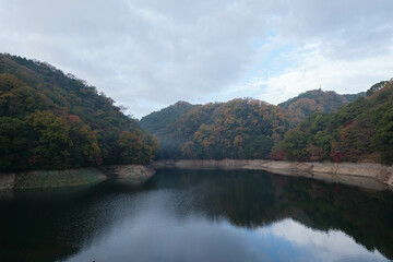 秋の紅葉に染まる神戸布引貯水池