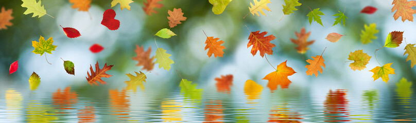 Horizontal autumn leaves on natural blurred green background