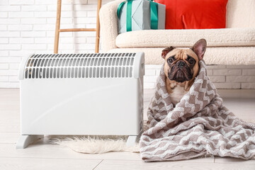 Cute French bulldog with plaid and electric heater at home