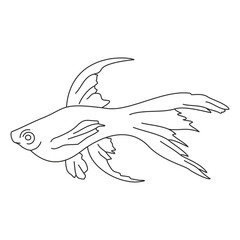 Fish hand draw vector design. Wild life black vector illustration on a white background. Decorative element for printing, embroidery and tattoo.