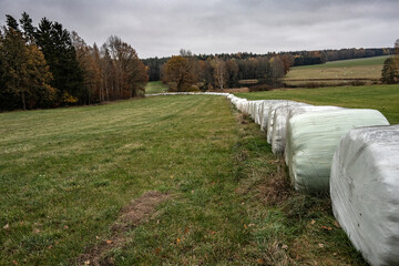 Silobags in the field, in Wenigenauma, Germany