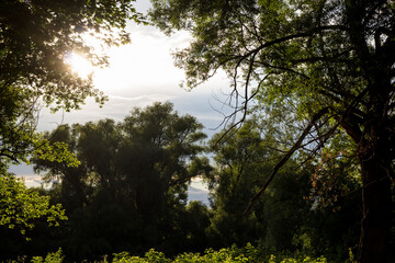 Green landscape with trees illuminated by sunlight