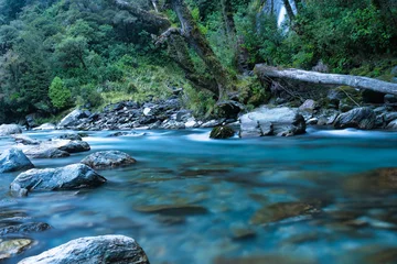 Foto op Plexiglas The clear turquoise water at Thunder Creek Falls iin Mount Aspiring National Park, Westland District, New Zealand. It is located in the Haast River valley, inland from Haast © Stewart