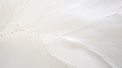 Obraz premium Elegance of nature. Luxurious organic veins of abstract leaf, close-up. Pattern, seamless. Subtle white, pale colors and textures. Stunning, timeless card, banner, invitation, emotional background.