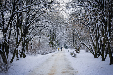 Winter scenery in park in Warsaw, Poland