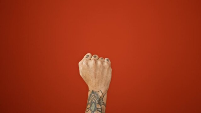 Outrageous show-off from an adult male with hand over red background, hispanic tattooed man flippin' no-people sign using his middle finger, dismissive gesture symbol of bad attitude