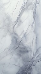 Light gray marble with a sleek and smooth texture
