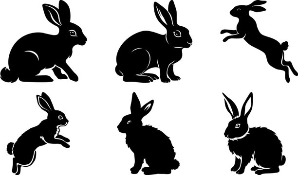Set of Rabbit silhouettes	
