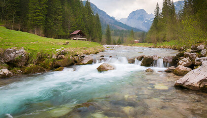 Naklejka na ściany i meble nature landscape with a beautiful mountain stream with clear water