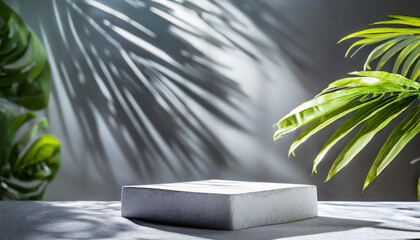 Obraz premium podium for a product presentation; space to display, with shadows