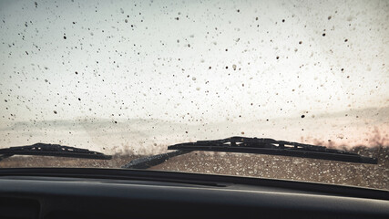Drops of dirt on the windshield of a car. Autumn landscape through the windshield of a car