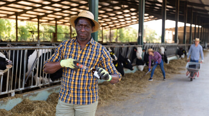 Focused african american male farmer in a cowshed stands with a vaccine and a syringe, about to...